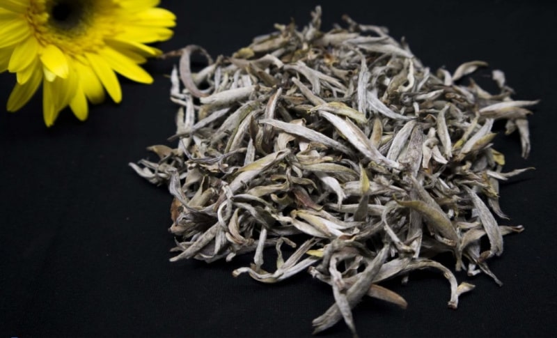 Bạch trà Bạch trà
